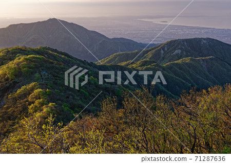 從湘南海的澤澤和洞岳看的日出的前山和大山 從湘南海的澤澤和洞岳看的日出的前山和大山 71287636