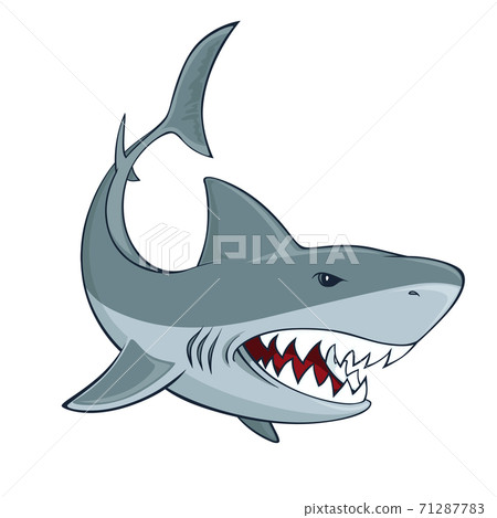 Shark sign Shark sign 71287783