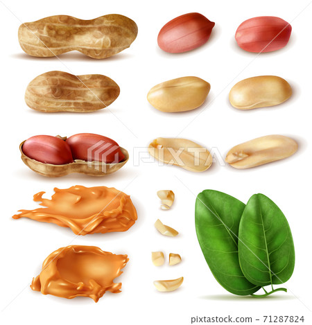 Peanut Beans Realistic Set Peanut Beans Realistic Set 71287824