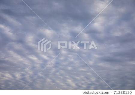 Skyward sky Skyward sky 71288130