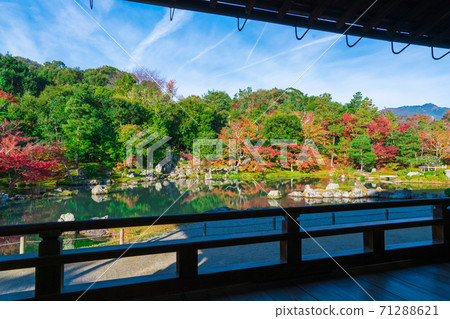 京都Tenryu籍寺廟秋葉 京都Tenryu籍寺廟秋葉 71288621