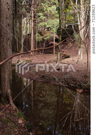 森林溪 71289625