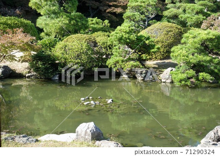 Shimonoseki City Chofu Garden A garden seen through the quartz glass of the Shoin Shimonoseki City Chofu Garden A garden seen through the quartz glass of the Shoin 71290324