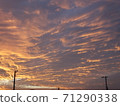 At dusk of autumn 71290338