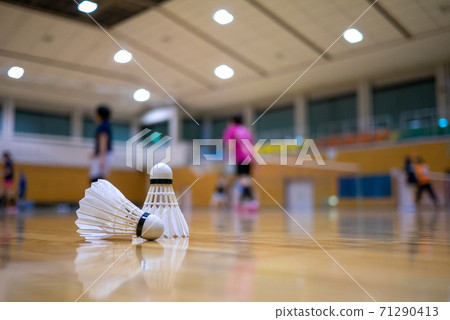 羽毛球形象 羽毛球形象 71290413