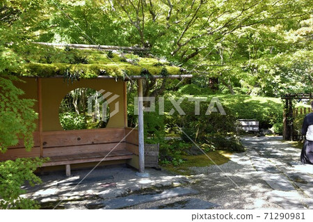 松島悅津院 松島悅津院 71290981