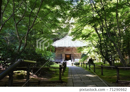 松島悅津院 松島悅津院 71290982
