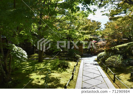 松島悅津院 71290984