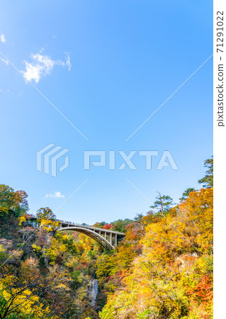 [宮城縣]藍藍的天空和明亮的紅葉的鳴子峽 71291022