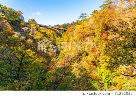 [宮城縣]藍藍的天空和明亮的紅葉的鳴子峽 71291023