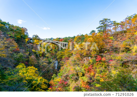 [宮城縣]藍藍的天空和明亮的紅葉的鳴子峽 71291026
