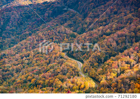 Great Smoky Mountains National Park, Tennessee, USA at the Newfound Pass 71292180
