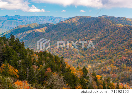 Great Smoky Mountains National Park, Tennessee, USA at the Newfound Pass 71292193