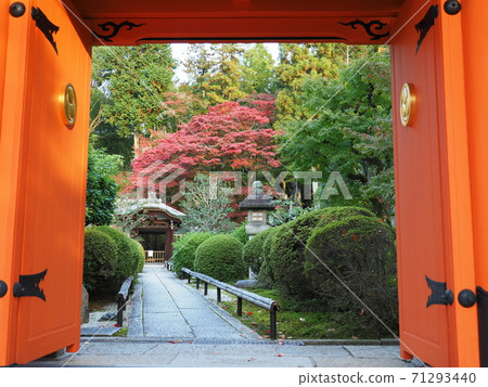 秋葉在京都 秋葉在京都 71293440