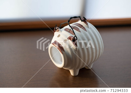 Mosquito pig 71294333