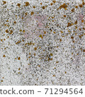 old gray stone wall with moss. Seamless texture 71294564