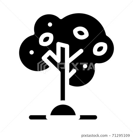 olive tree glyph icon vector symbol illustration 71295109