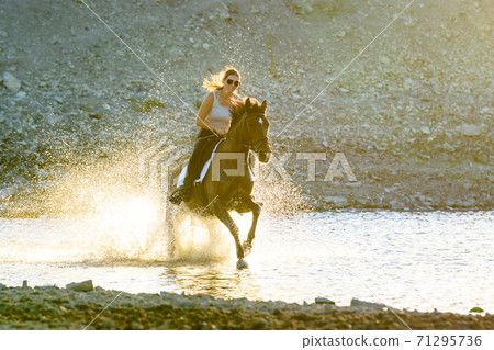 A girl rides a horse in the evening in the water along the river bank 71295736