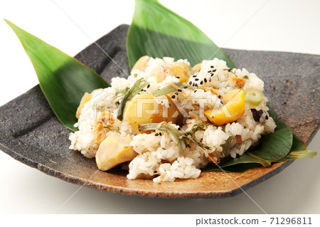 野生菜栗子貓頭鷹 71296811
