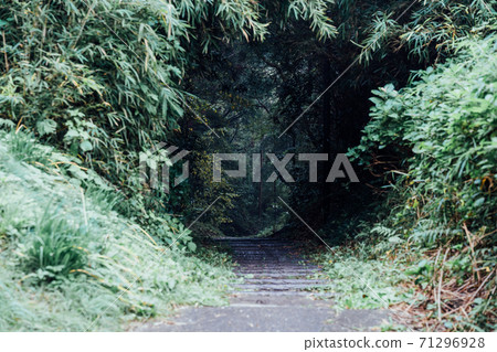 綠色路徑 綠色路徑 71296928