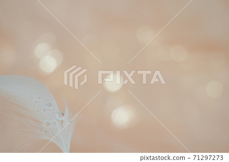 White feathers and drops art, orange background White feathers and drops art, orange background 71297273