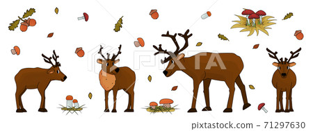 Set of Cute hand drawn cartoon isolated deers with antlers or caribou, mushrooms, leaves, grass, fly agarics, porcini mushrooms, aspen mushrooms, acorn, oak leaves on white background 71297630