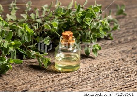 A bottle of essential oil with fresh marjoram plant A bottle of essential oil with fresh marjoram plant 71298501