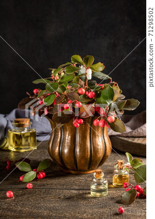 Bottles of essential oil with fresh wintergreen plant i Bottles of essential oil with fresh wintergreen plant i 71298502