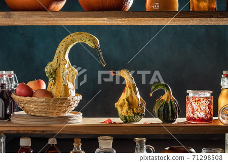 Gourds in the form of geese or swan in the storeroom - mum is mad because goslings have eaten all the marmalade 71298508