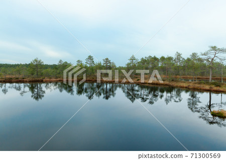 Viru Raba, Lehemaa National Park, Estonia 71300569