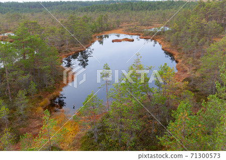 Viru Raba, Lehemaa National Park, Estonia 71300573
