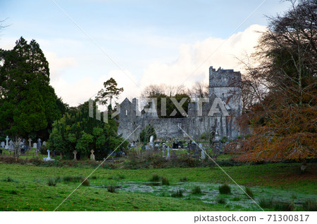 Muckross Abbey, Ireland, UK 71300817