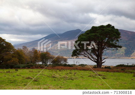 Muckross Lake, Ireland, UK 71300818