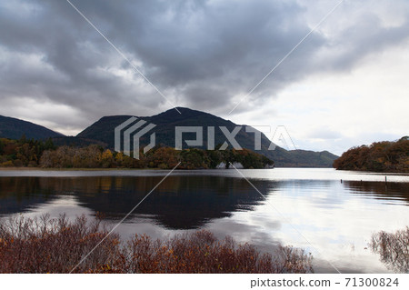 Muckross Lake, Ireland, UK 71300824