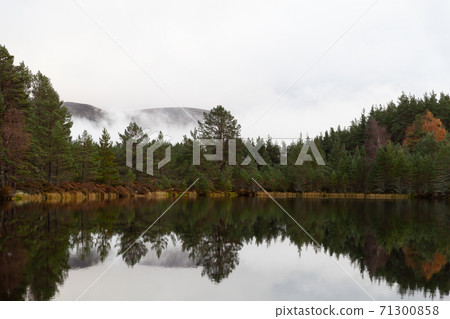 Uath Lochan, Kincraig, Scotland, UK Uath Lochan, Kincraig, Scotland, UK 71300858