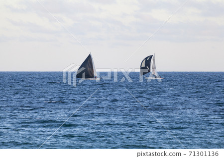 Yachts with blacks sails in the blue waters Yachts with blacks sails in the blue waters 71301136