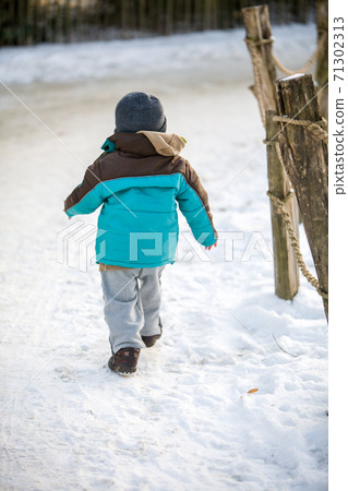 Child playing with snow in winter. Child playing with snow in winter. 71302313