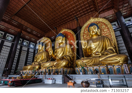 The Three Great Buddhas of Chorakuji (Tajima Daibutsu and Tajima Daibutsu) The Three Great Buddhas of Chorakuji (Tajima Daibutsu and Tajima Daibutsu) 71303257