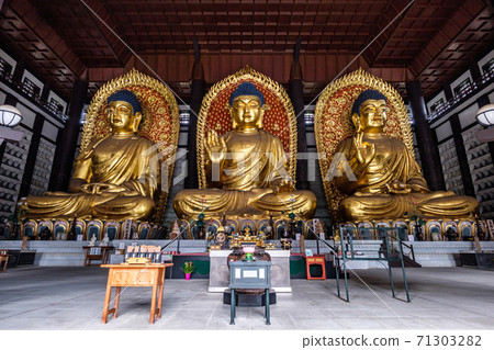 The Three Great Buddhas of Chorakuji (Tajima Daibutsu and Tajima Daibutsu) 71303282