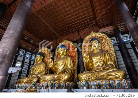 Chorakuji的三位大佛（Tajima Daibutsu和Tajima Daibutsu） 71303289