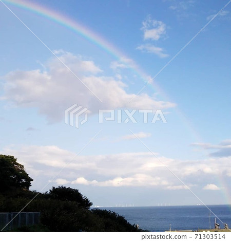 Rainbow  71303514