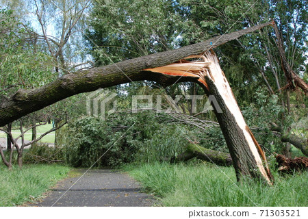 Typhoon damage 71303521