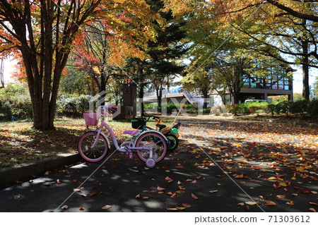 信州公園兒童自行車的黃秋葉 信州公園兒童自行車的黃秋葉 71303612