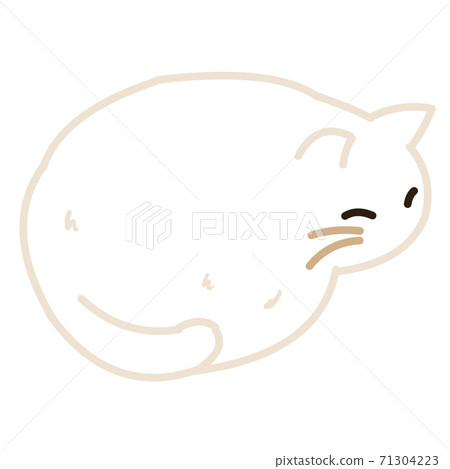 一隻捲曲的白貓 71304223