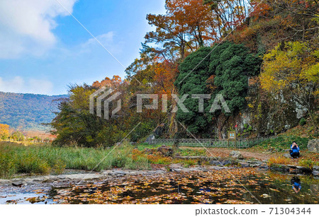 松岳 松岳 71304344