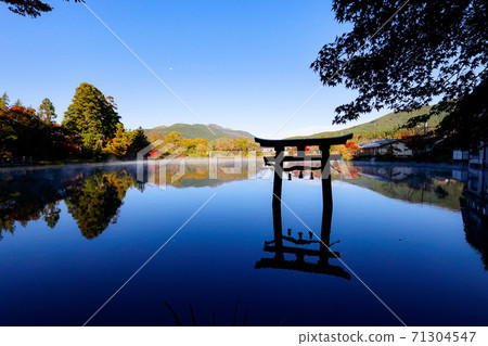 Yufuin gold scale lake 71304547