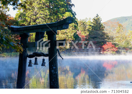 湯布院金鱗湖 71304582