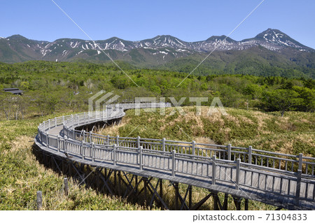 Shiretoko Goko Elevated Boardwalk and Shiretoko Mountain Range in Early Summer (Shiretoko, Hokkaido) Shiretoko Goko Elevated Boardwalk and Shiretoko Mountain Range in Early Summer (Shiretoko, Hokkaido) 71304833