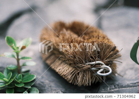 Tawashi放在石頭上 71304962