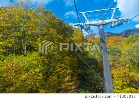 Hakuba Goryu Telecabin Gondola, First Snow and Autumn Leaves 71305018